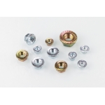 Hex Flange Nuts